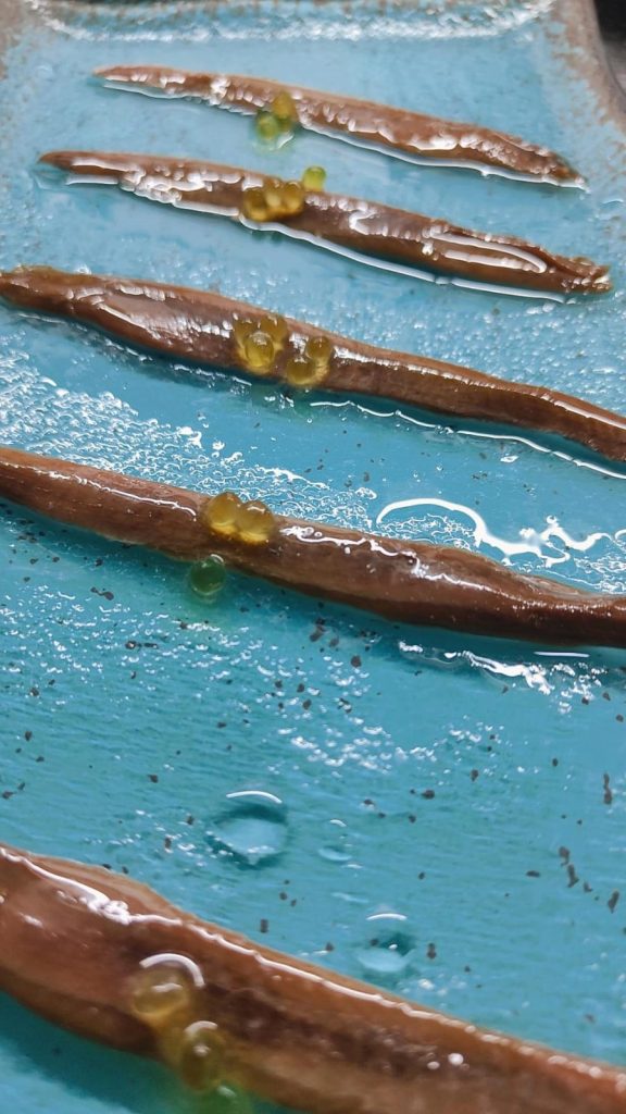 Comer anchoas del Cantábrico en Sitges